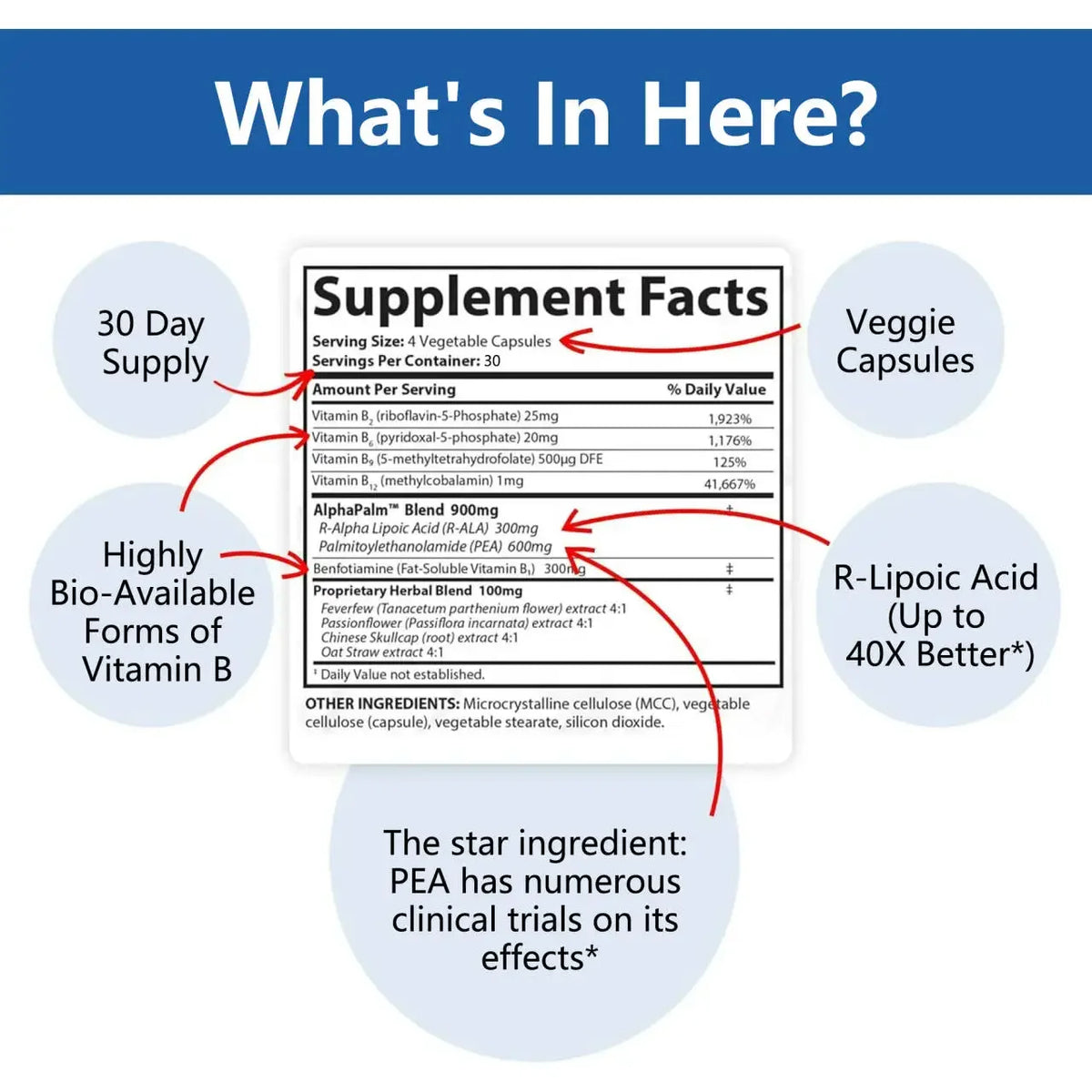 Sciatic Nerve & Mobility Support