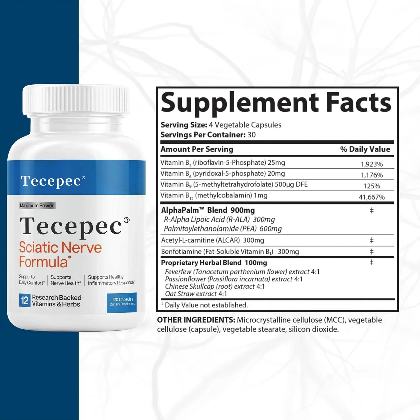 Sciatic Nerve & Mobility Support